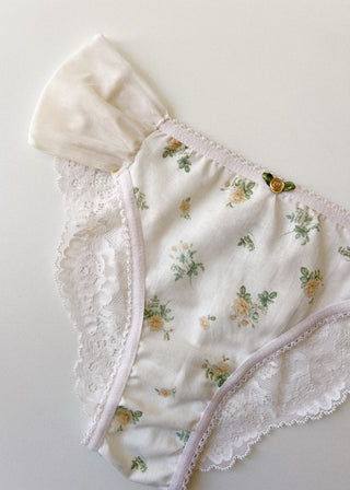 Calcinha biquíni Rosas